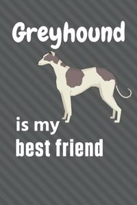 Greyhound is my best friend