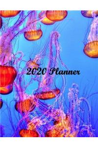 2020 Planner