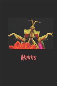 Preying mantis journal / diary