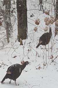 2020 Weekly Planner Winter Wild Turkeys Snowstorm 134 Pages