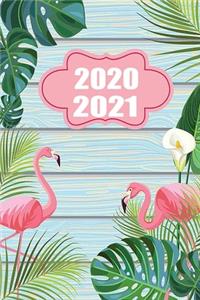 2020 / 2021