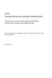 Technical Assessment of the National Full Scale Aerodynamic Complex Fan Blades Repair