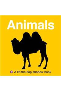 Lift the Flap Shadow Books (Small) - Park