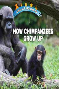 How Chimpanzees Grow Up