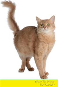 Somali Cat Presents