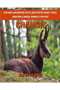 Chamois