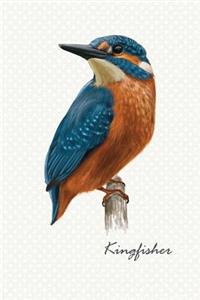 Kingfisher