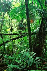 The Jungle of Chiapas Notebook