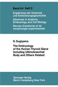 Embryology of the Human Thyroid Gland Including Ultimobranchial Body and Others Related
