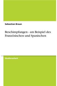 Beschimpfungen - am Beispiel des Französischen und Spanischen