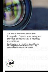Imagerie d'Essais Mécaniques Sur Des Composites À Matrice Métallique