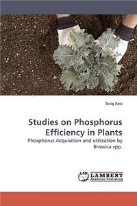 Studies on Phosphorus Efficiency in Plants