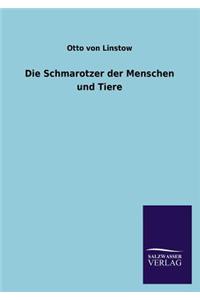 Schmarotzer Der Menschen Und Tiere