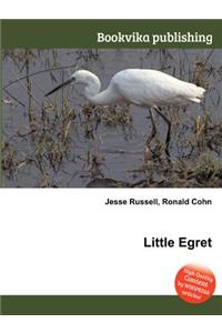 Little Egret