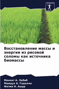 Восстановление массы и энергии из рисовой