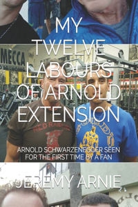 My Twelve Labours of Arnold Extension