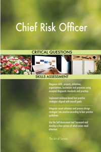 Chief Risk Officer Critical Questions Skills Assessment