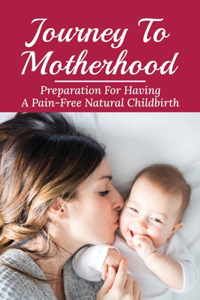 Journey To Motherhood: Preparation For Having A Pain-Free Natural Childbirth: Pregnancy Journey