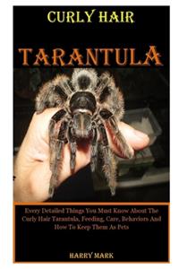 Curly Hair Tarantula