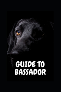 Guide to Bassador