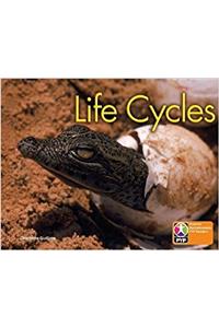 PYP L6 Life Cycles single