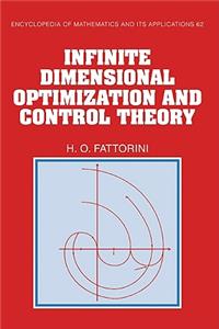 Infinite Dimensional Optimization and Control Theory