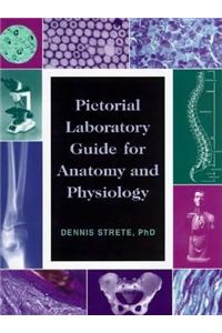 Pictorial Lab Guide for Anatomy and Physiology
