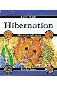 Hibernation