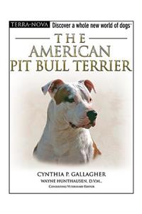 The American Pit Bull Terrier