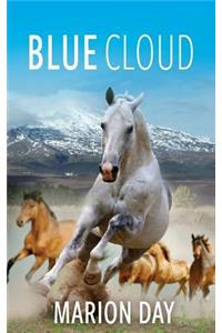 Blue Cloud