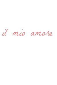 il mio amore