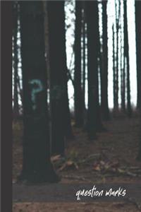 question marks