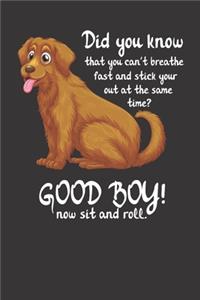 Dog Agility Training Notebook Journal