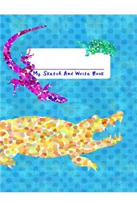 My Sketch and Write Book