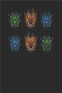 Spider Collection