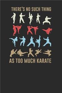 There's No Such Thing As Too Much Karate