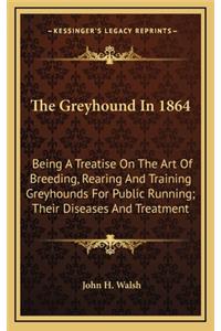 The Greyhound In 1864