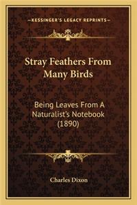 Stray Feathers from Many Birds
