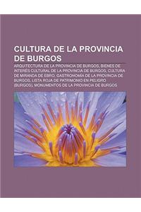 Cultura de La Provincia de Burgos: Arquitectura de La Provincia de Burgos, Bienes de Interes Cultural de La Provincia de Burgos