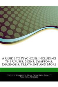 A Guide to Psychosis Including the Causes, Signs, Symptoms, Diagnosis, Treatment and More