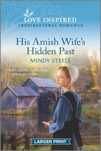 His Amish Wife's Hidden Past