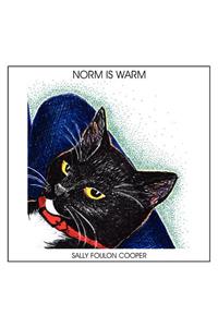 Norm is Warm