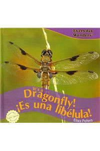 It's a Dragonfly! / ¡Es Una Libélula!