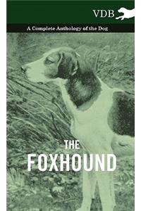 The Foxhound - A Complete Anthology of the Dog