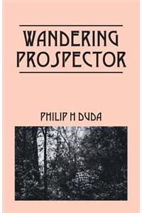 Wandering Prospector