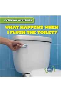 What Happens When I Flush the Toilet?