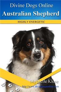 Australian Shepherds