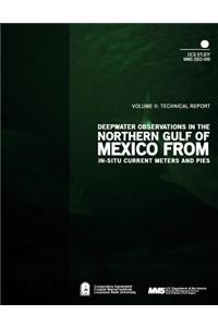 Deepwater Observations in the Northern Gulf of Mexico from In-situ Current Meters and PIES