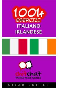 1001+ Esercizi Italiano - Irlandese