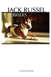 Jack Russel Terriers Weekly Planner 2016